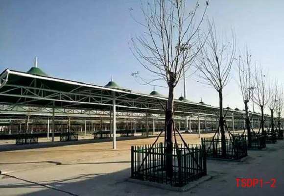 绿色环保材质膜结构市场大棚