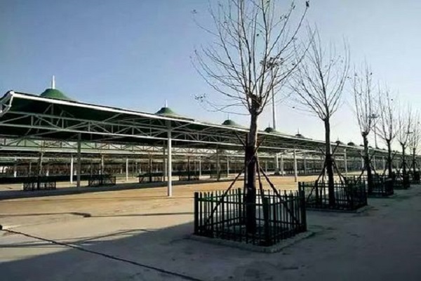 衡水市滏阳便民市场膜结构大棚图片展示